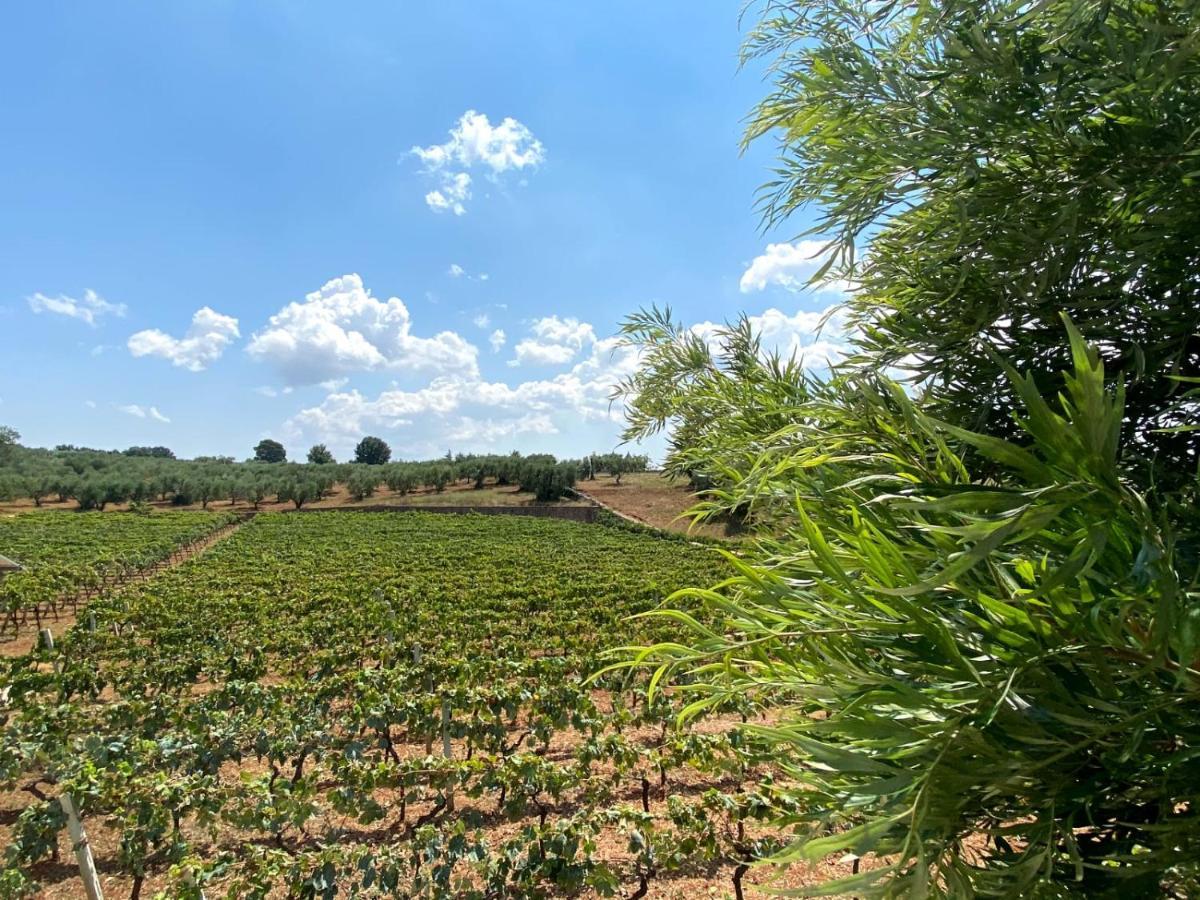 Tenuta Montanaro Локоротондо Экстерьер фото