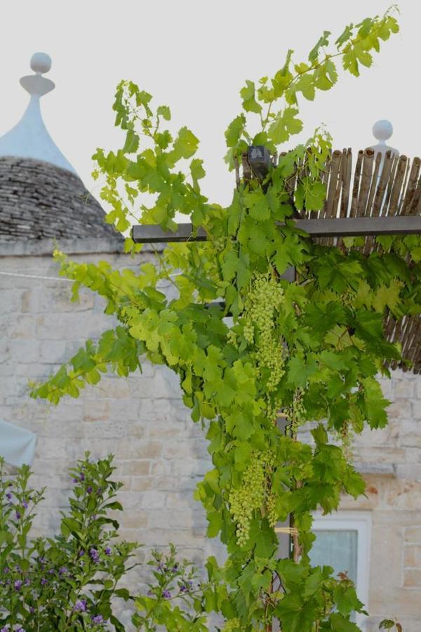 Tenuta Montanaro Локоротондо Экстерьер фото